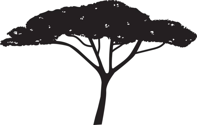 Massai Logo